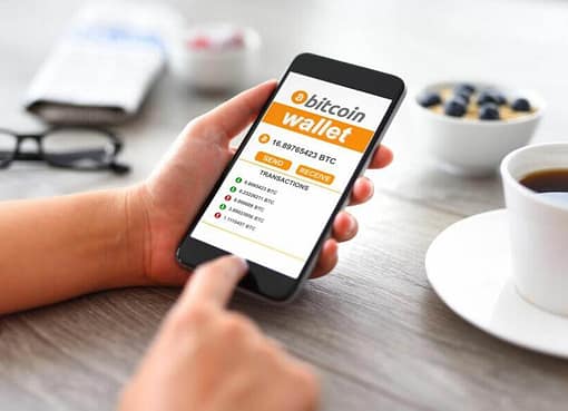 Bitcoin Wallets and Their Types